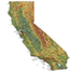 California Insurance Agencies